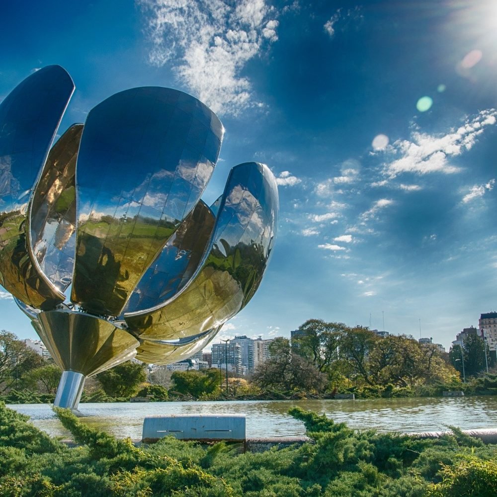 floralis-generica-g77ccfcf0d_1920