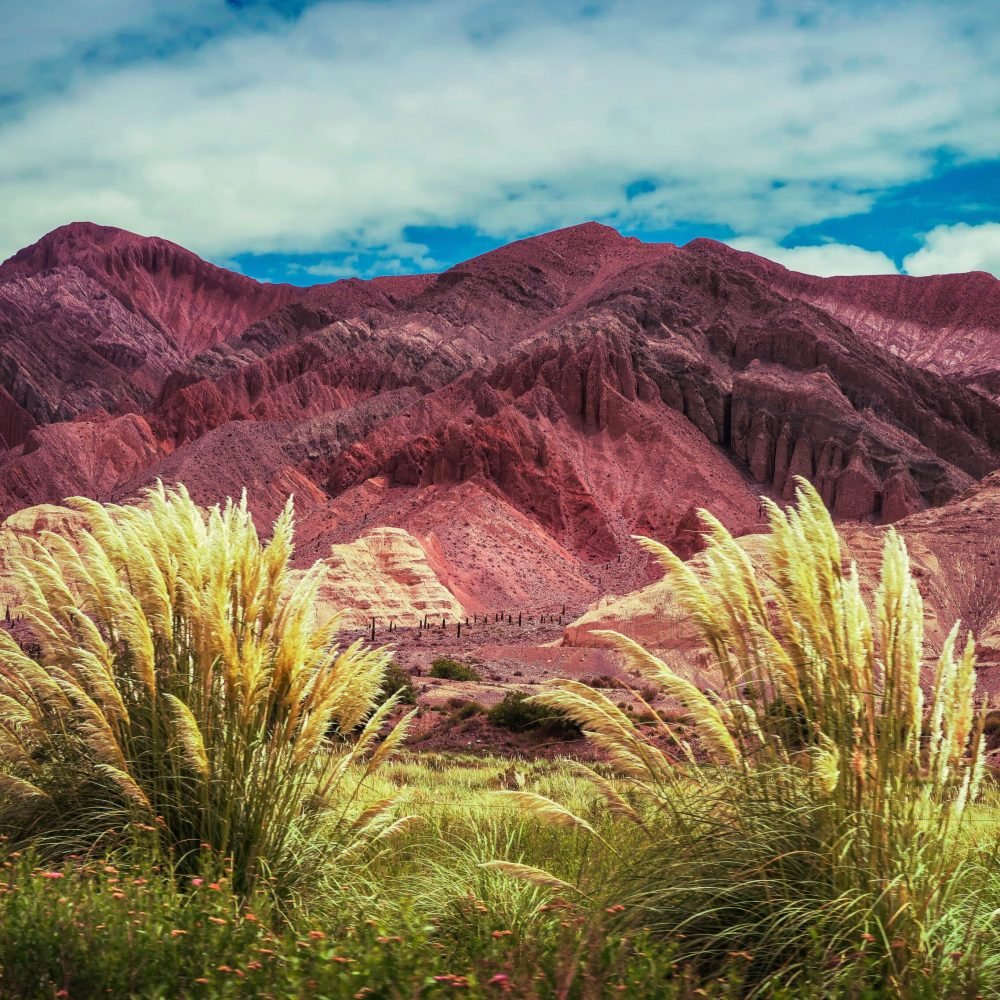 hector-ramon-perez-tqIZ5B5o_1o-unsplash (1)