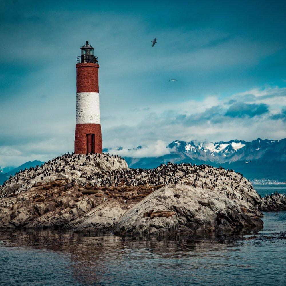 luuk-wouters-F_zec7P_OwA-unsplash